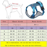 Adjustable Harness Dog