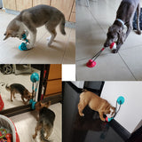 Balle interactive pour chien en silicone 