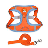 Dog Harness and Leash Set