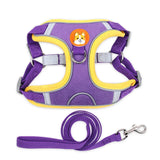 Dog Harness and Leash Set