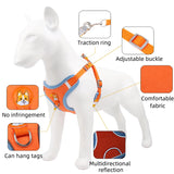 Dog Harness and Leash Set