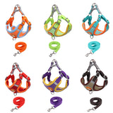 Dog Harness and Leash Set