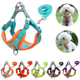 Dog Harness and Leash Set