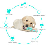 Safe Puppy Dental Care Toy