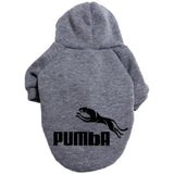 Lässiger Hoodie für Hunde 