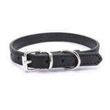 Adjustable Collar for Small and Medium-sized Dog