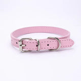 Adjustable Collar for Small and Medium-sized Dog