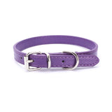 Adjustable Collar for Small and Medium-sized Dog