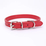 Adjustable Collar for Small and Medium-sized Dog