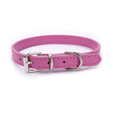 Adjustable Collar for Small and Medium-sized Dog