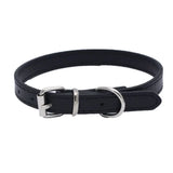 Adjustable Collar for Small and Medium-sized Dog