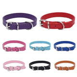 Adjustable Collar for Small and Medium-sized Dog