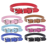 Adjustable Collar for Small and Medium-sized Dog