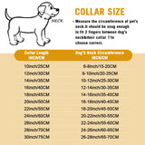 Stainless Chain Collar For Dogs