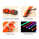 Led Anti-Lost Dog Collar PUPPIES HAPPY