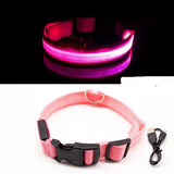 Led Anti-Lost Dog Collar PUPPIES HAPPY