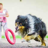Dog Flying Discs for Training PUPPIES HAPPY