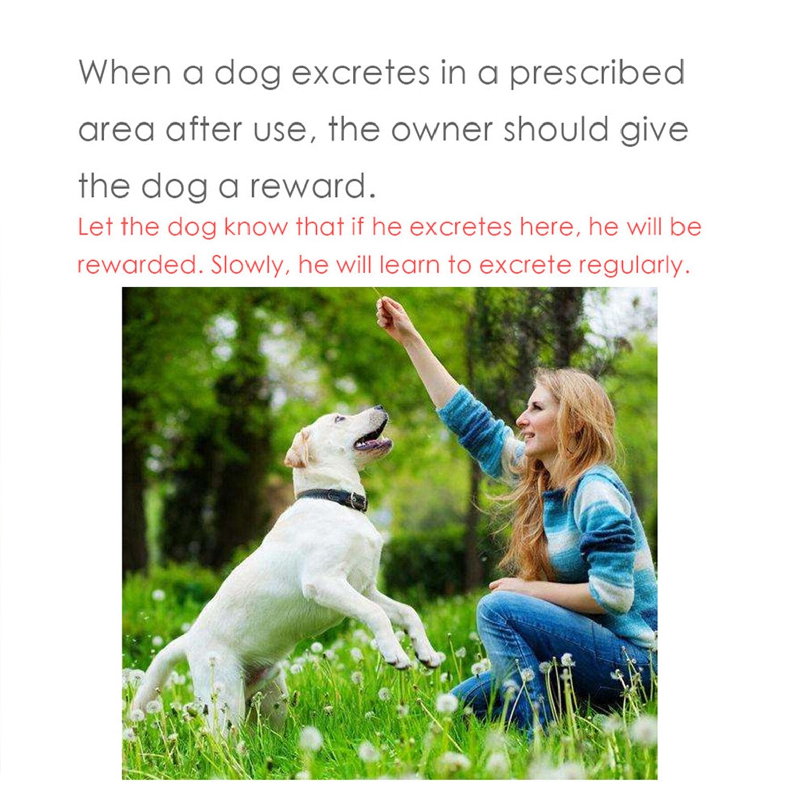 Dog Defecation Inducer Spray